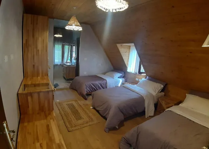 Hotel Restaurant Alpet 4*